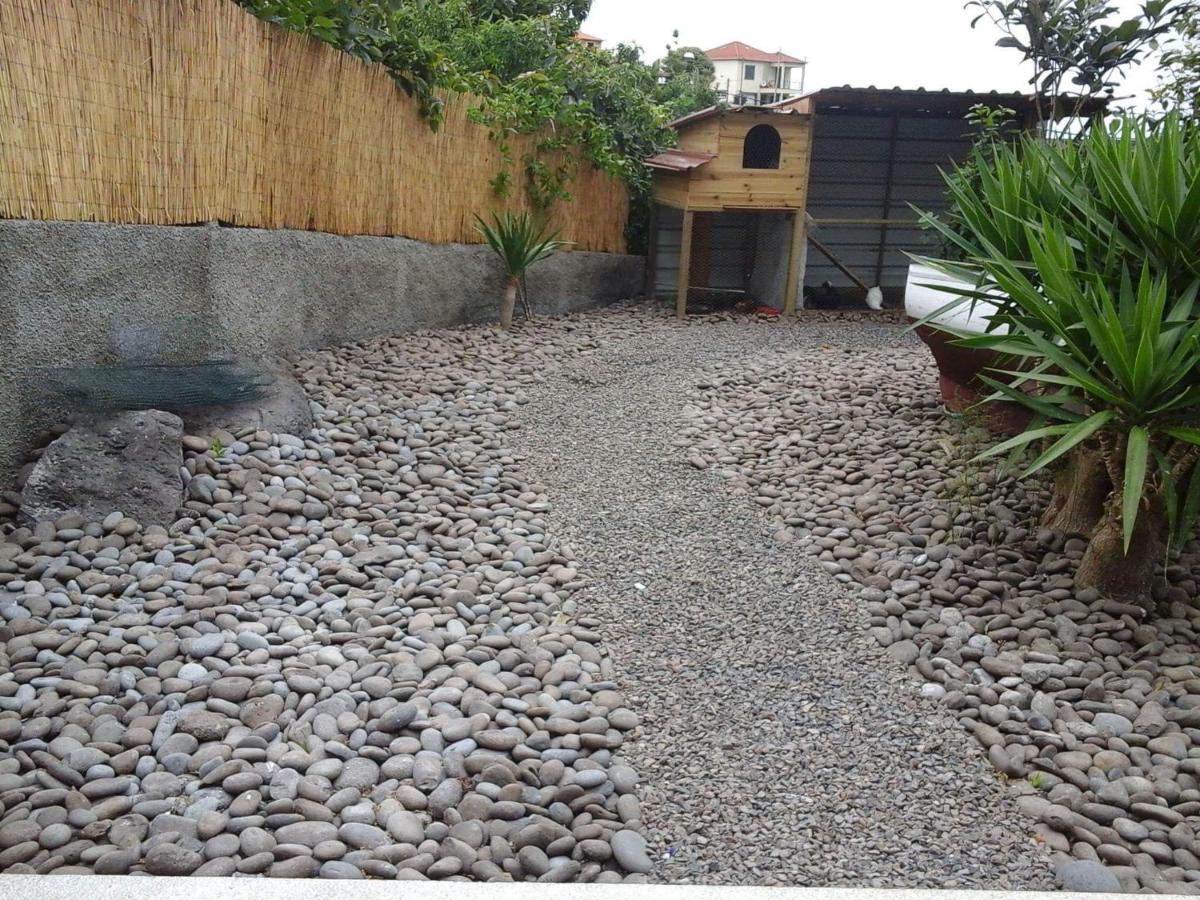Cottage Quinze, Contemporary Designed Cottage With Swimming Pool Ponta Delgada  Zewnętrze zdjęcie